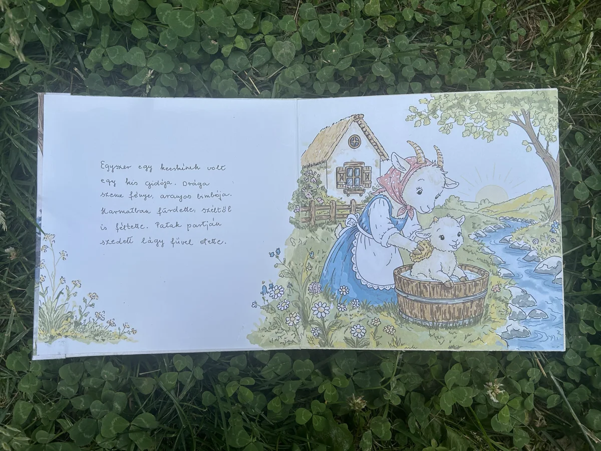 A kis gidó – 2. kép